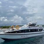 Fastboat Bali Dolphin Cruise