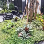 Panduan Memilih Desain Taman