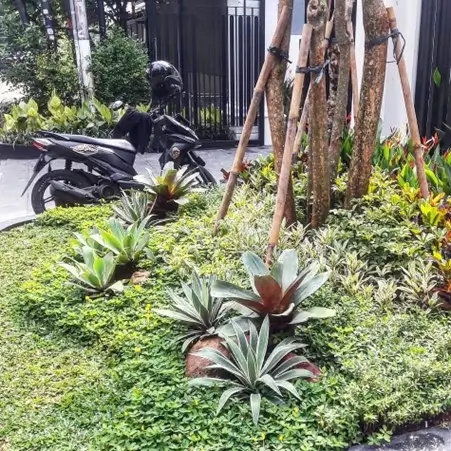 Panduan Memilih Desain Taman